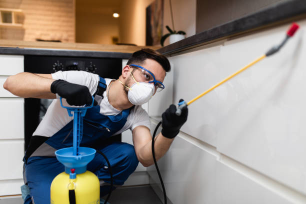 Best Commercial Pest Control Services  in Morgans Point Resort, TX