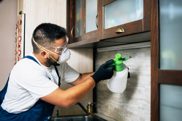 Best Residential Pest Control  in Morgans Point Resort, TX