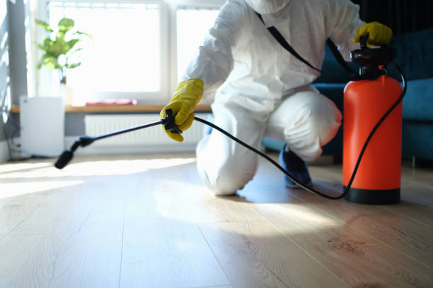 Best Local Pest Control Services  in Morgans Point Resort, TX