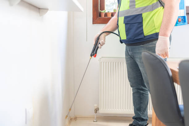 Best Wasp Removal Services  in Morgans Point Resort, TX