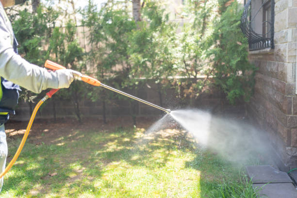 Professional Pest Control in Morgans Point Resort, TX