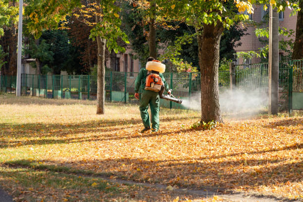 Best Ant Control Services  in Morgans Point Resort, TX
