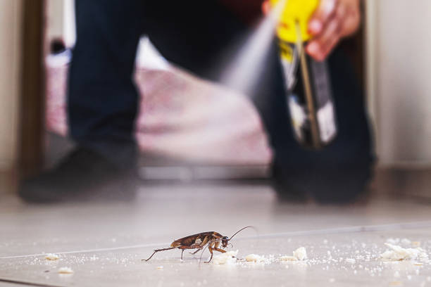 Best Ant Control Services  in Morgans Point Resort, TX