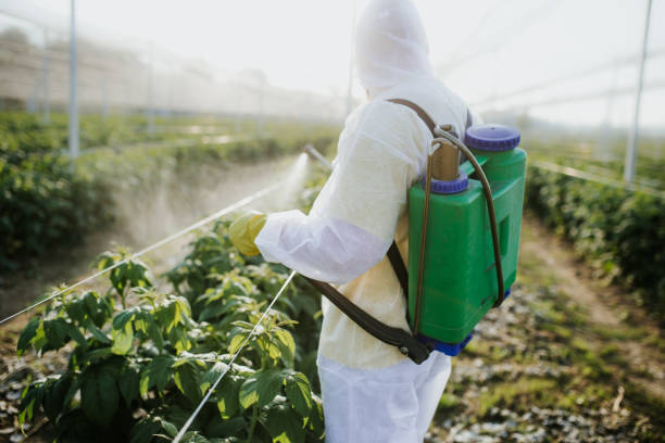 Best Pest Inspection Near Me  in Morgans Point Resort, TX
